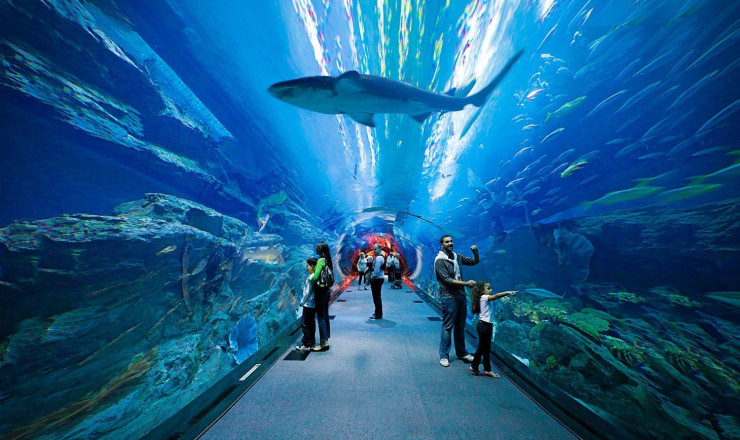 Dubai Aquarium & Underwater Zoo