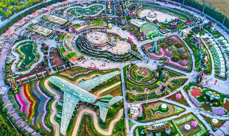 Miracle Garden in Dubai